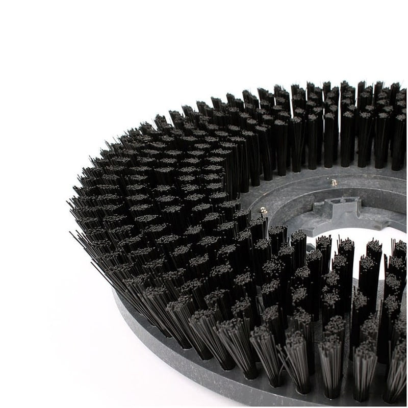 Close up view of the bristles from the Viper 15" General Purpose Poly Brush. This is a replacement part for Viper Fang 15B autoscrubber.